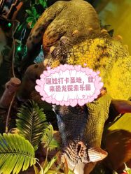 -恐龙探索乐园(磁器口店)