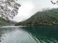 -黄龙山原始森林景区