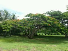 android_upload_pic-塞班岛国际机场