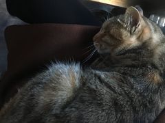 -飘香酒馆·私房菜