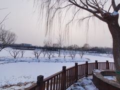 -东郊湿地公园