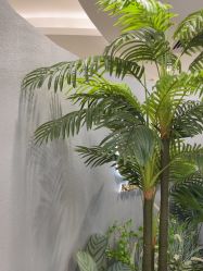 -八佰伴8008星级形象店
