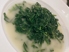 上汤辣椒叶-广州文华东方酒店·江-由辉师傅主理