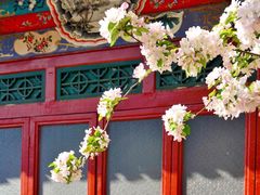 -海棠花溪(元大都城垣遗址公园)