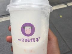 -一只酸奶牛(八一路店)