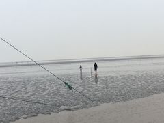 -南汇嘴观海公园