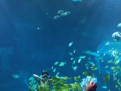 -太平洋海底世界