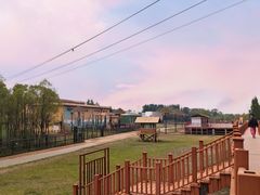 -鄂尔多斯野生动物园