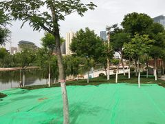 -雁滩公园