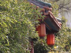 -碑林公园