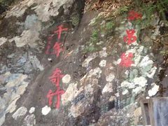 -湄洲岛