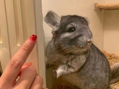 -龙猫仔乐园(惠福东路店)