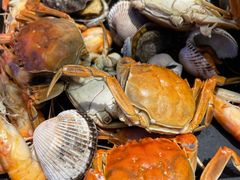 -乔哥铭洋海鲜自助(皇城恒隆广场店)