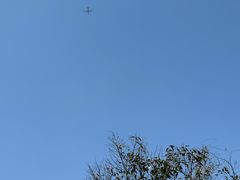 -北仑森林植物园