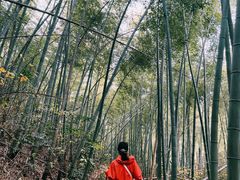 -四明山国家森林公园