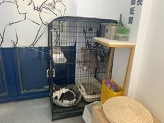 -颐玖 咖啡|甜品