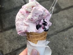 -柠檬车露(卖草地店)