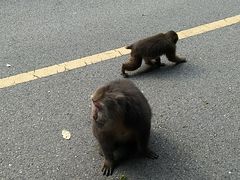 -西岭雪山大飞水景区