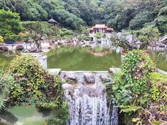 -梧桐山风景名胜区