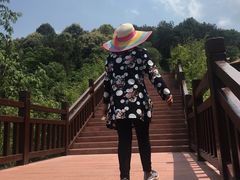 -铁山坪森林公园