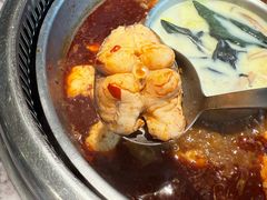 -鱼豆吉·豆浆鱼火锅(宜昌万达店)