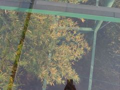 -陶祖圣境风景区