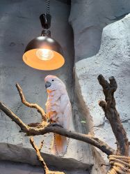 -Zoolung Zoolung动物主题公园(海信广场店)