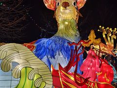 -大连老虎滩海洋公园