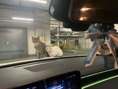 -上海可达汽车销售服务有限公司