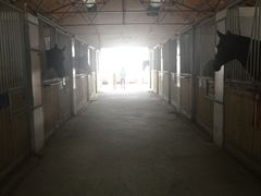 -松声马术俱乐部