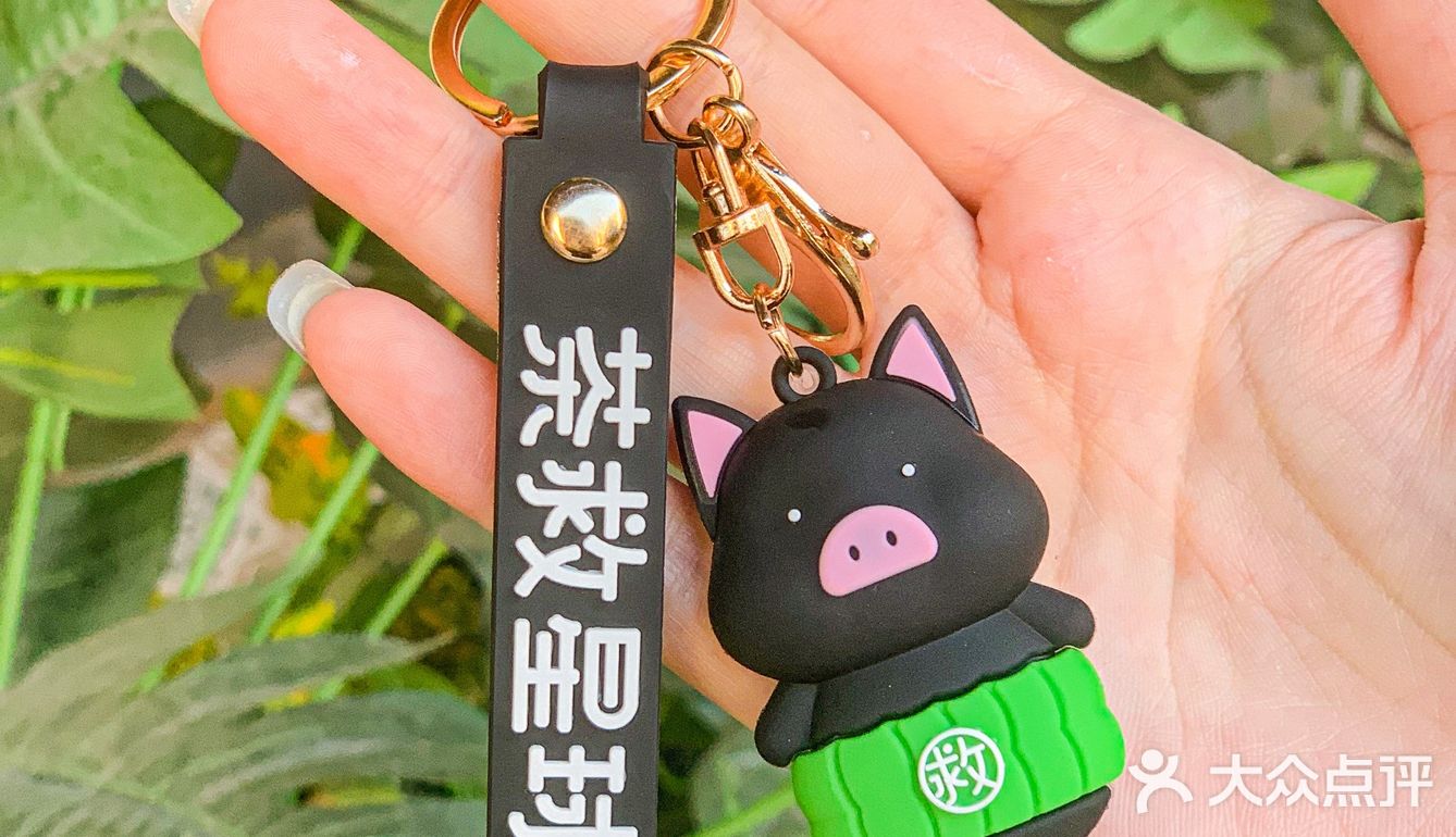 《关于我💰3.8r抽到一只隐藏款的晒隆猪》