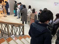 -矢场猪(名古屋站三井楼北馆店)