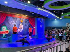 -芜湖新华联大白鲸海洋公园