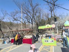 -白水寺森林公园