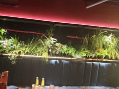 -沪小胖·小龙虾·蓝龙王(八佰伴店)