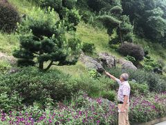 -英德宝晶宫天鹅湖茶语温泉