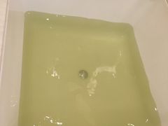 -扬州皇冠假日酒店