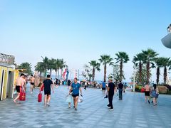 -大梅沙海滨公园