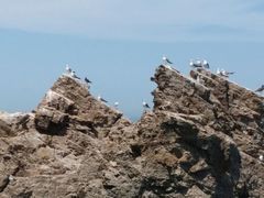 -海驴岛(荣成市)