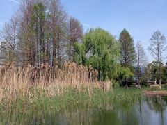 -白塘生态植物园