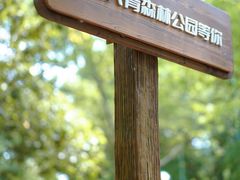 -上海共青森林公园