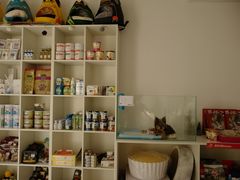 -BABYDOG宝贝狗宠物乐园(欧洲城店)