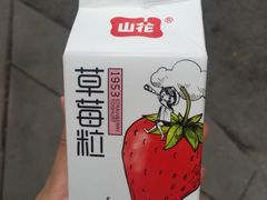 -杨姨妈丝娃娃(花果园店)