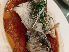 -湛江民大喜来登酒店-采悦轩中餐厅