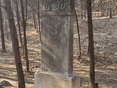 -北京鹫峰国家森林公园