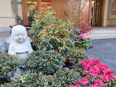 -星云文教馆