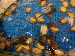 -万象·复兴号鲜肉烤肉海鲜自助(升级店)