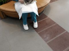 -联合动物医院(光谷诊疗中心)