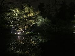 -西湖天地