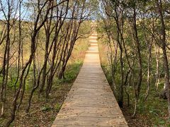 -白草畔自然风景区